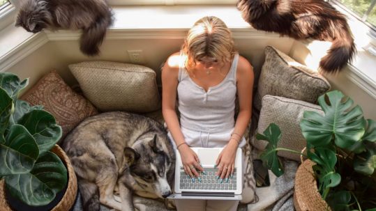 An overhead view of a blonde woman sitting with a laptop on a beige couch in a window seat surrounded by two cats and a dog.