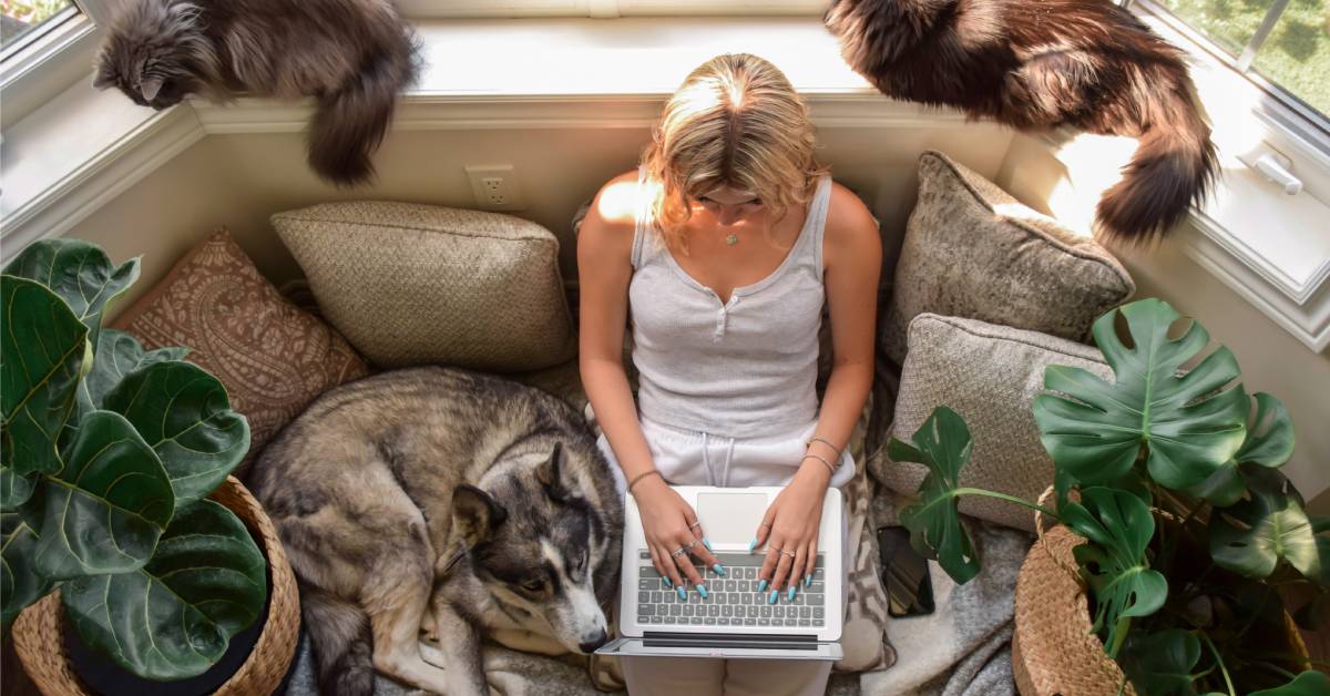 An overhead view of a blonde woman sitting with a laptop on a beige couch in a window seat surrounded by two cats and a dog.